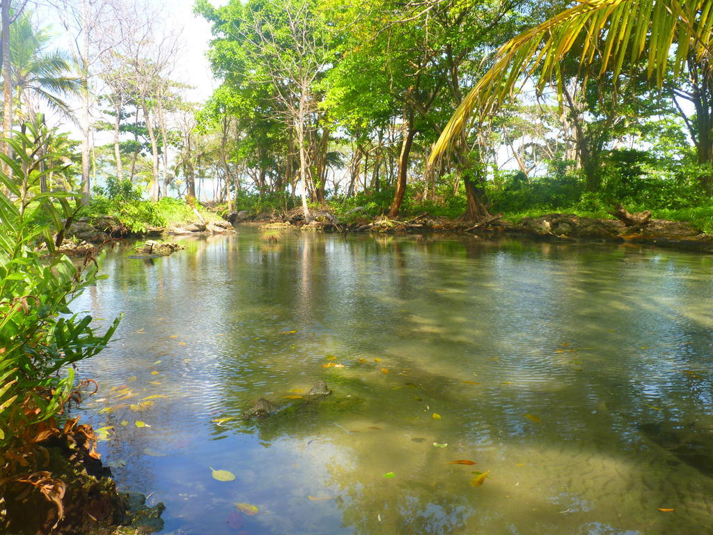 Hostal Capurganá المظهر الخارجي الصورة