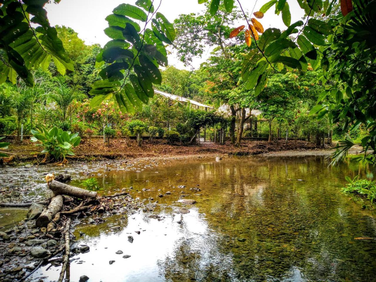 Hostal Capurganá المظهر الخارجي الصورة