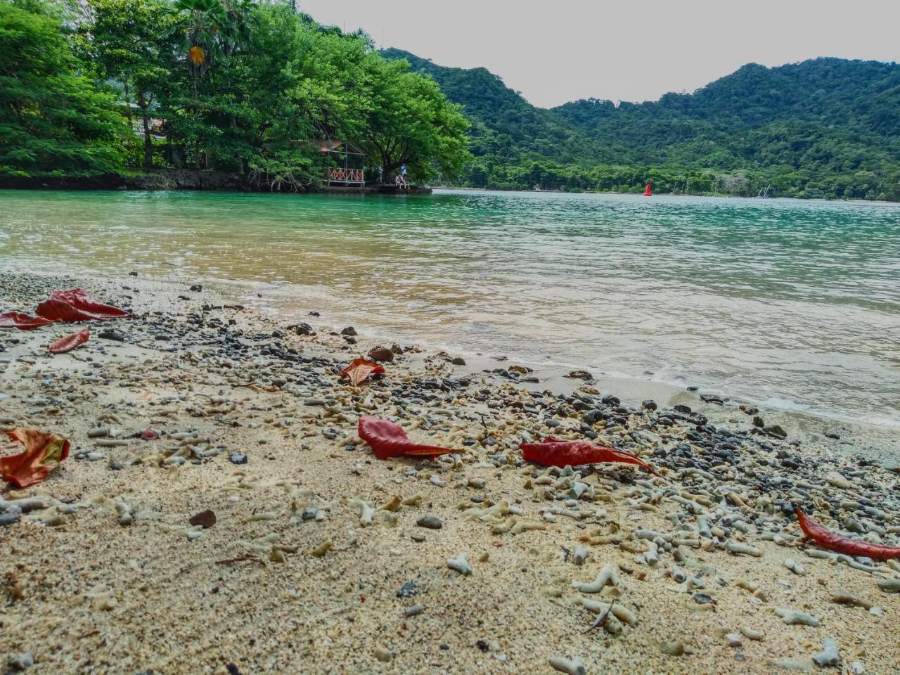 Hostal Capurganá المظهر الخارجي الصورة