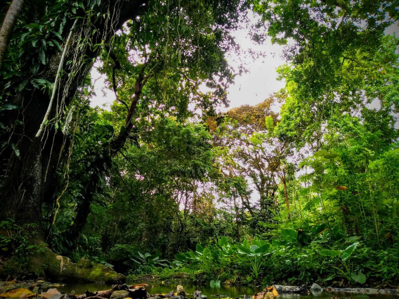Hostal Capurganá المظهر الخارجي الصورة